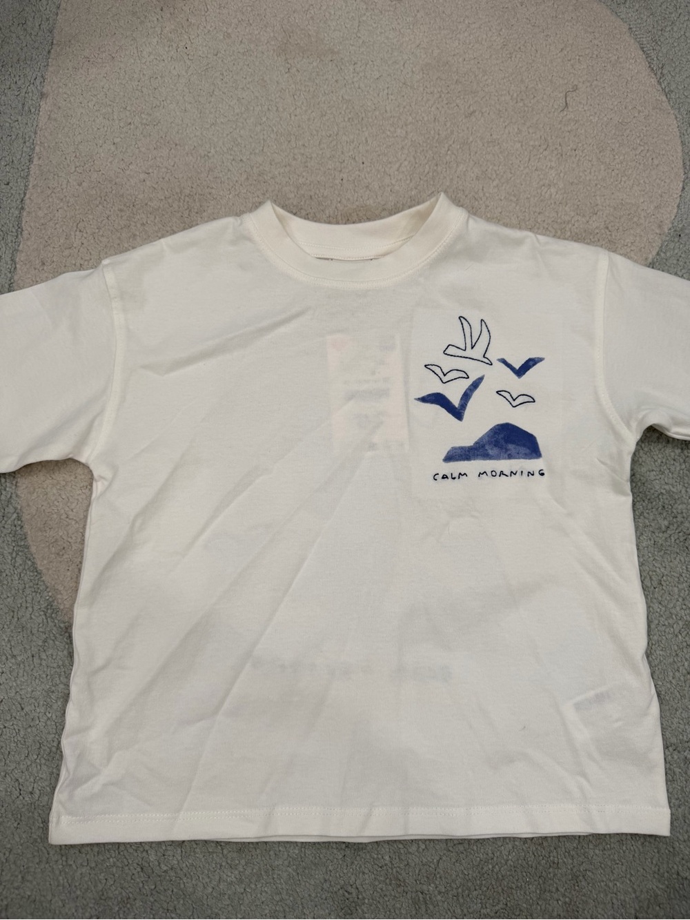 Zara Toddler Graphic Tshirt NWT size 5